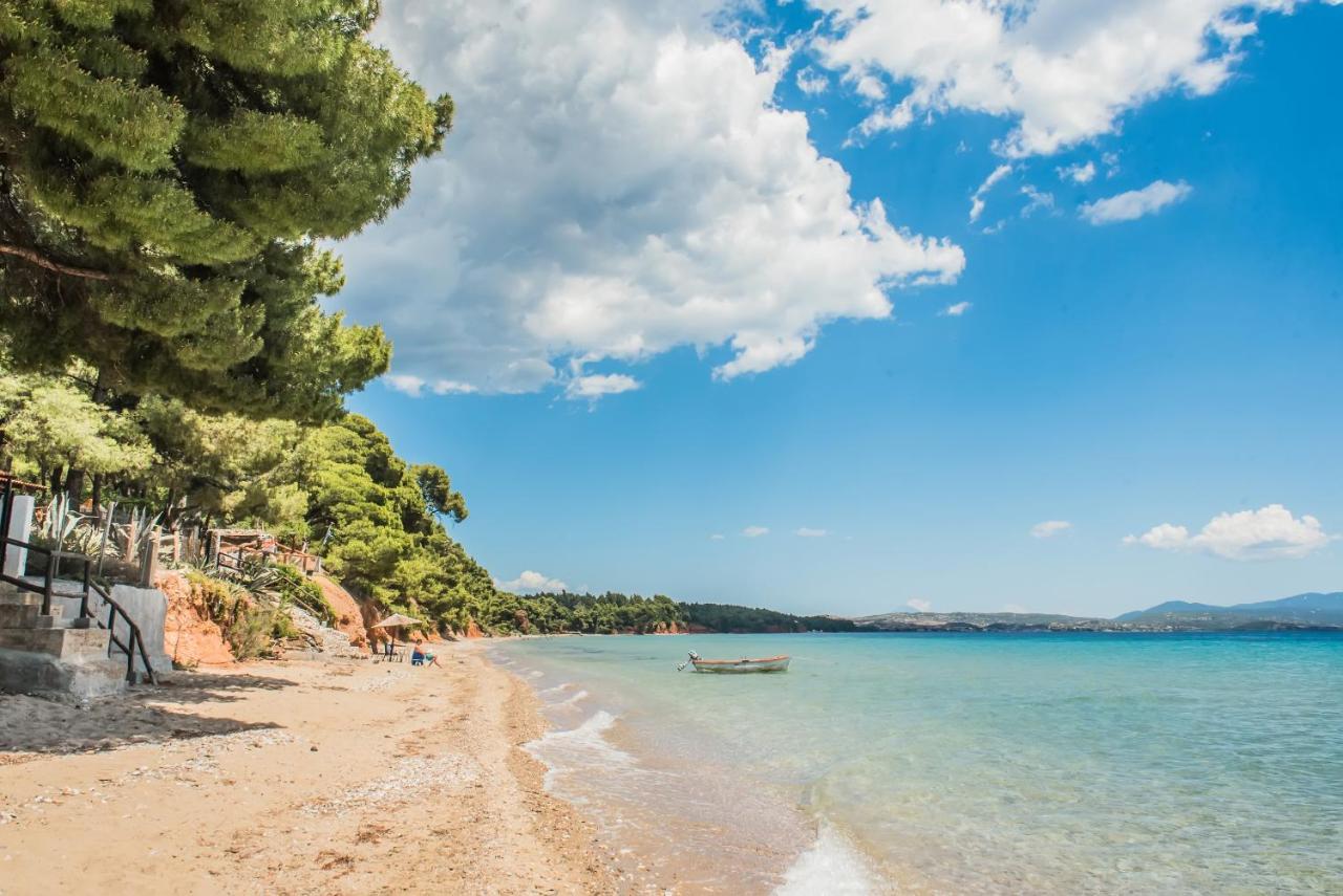 Hotel Citro By The Sea Metamorfosi  Zewnętrze zdjęcie